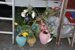 Miscellaneous pots and flowers.