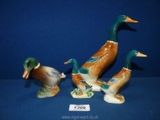 A Beswick mallard duck 7" tall and a smaller Beswick mallard duck 4¼" tall with repaired neck plus