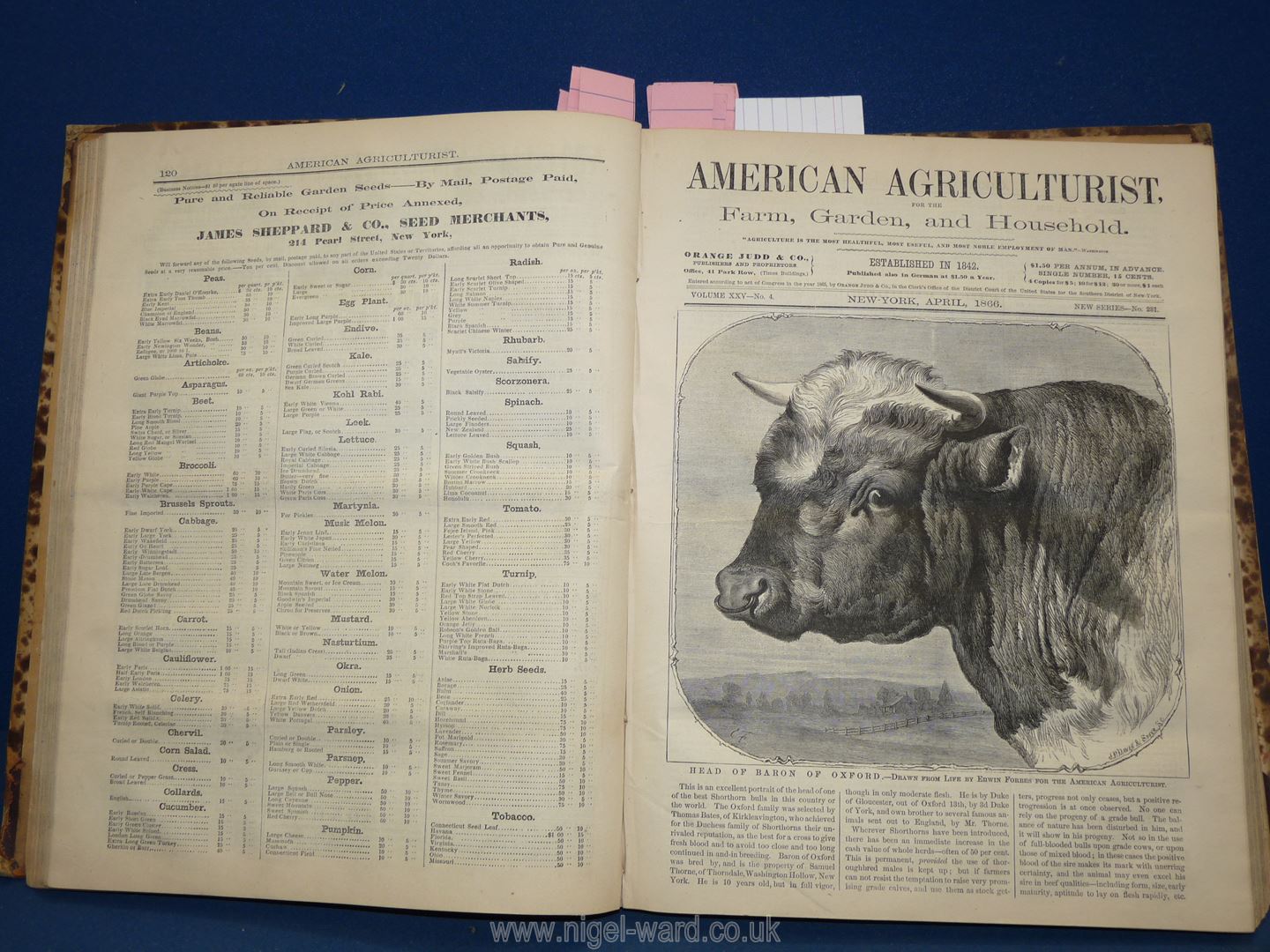 A volume, The American Agriculturalist, Farm, Garden and Household Vol. - Image 2 of 6