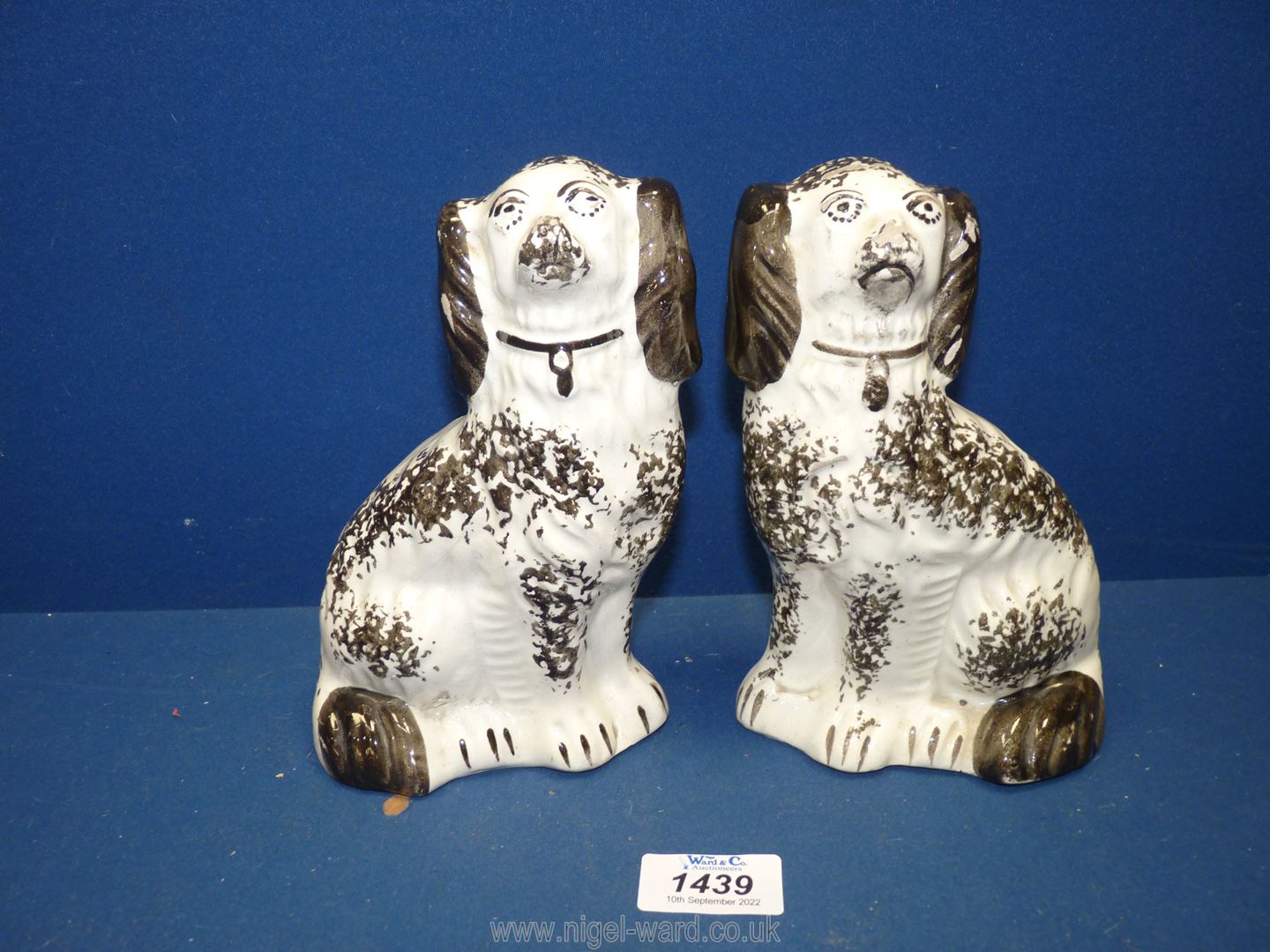 Two black and white flat back Spaniels, 7" tall.