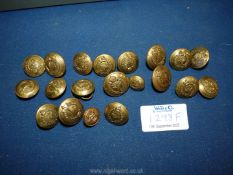 Twenty military buttons mainly Welsh Guards.