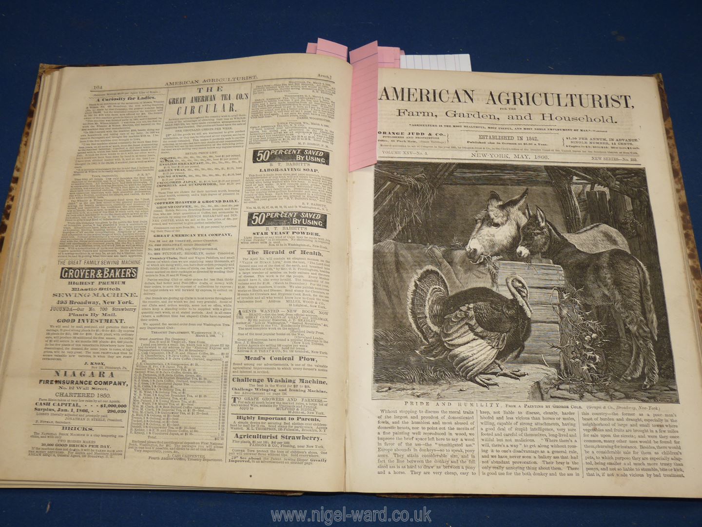 A volume, The American Agriculturalist, Farm, Garden and Household Vol. - Image 6 of 6