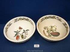 A pair of Portmeirion ''Botanical Garden'' bowls, both 9¼" diameter.