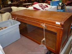 A large display case, formerly the top section of a "Globe Wernicke" style bookcase,