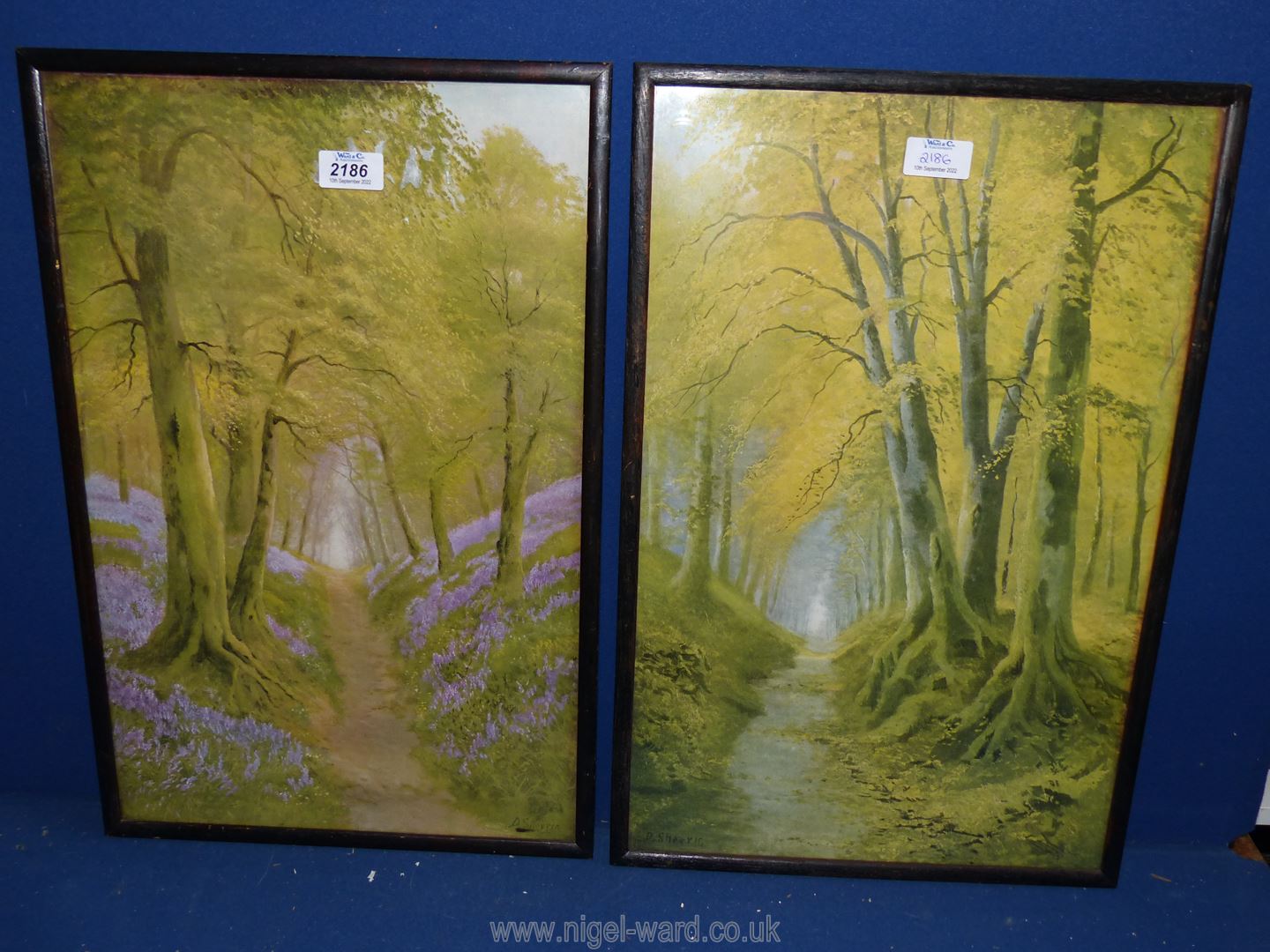 A pair of D.Sherrin Woodland prints.