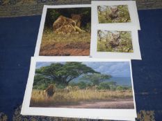 Four unframed signed prints of wildlife by Simon Coombs.