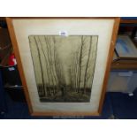 A large wooden framed Vincent Van Gogh print titled 'The Road with Poplars' (21" x 28 1/2").
