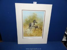 A David Shepherd signed print of a Zebra mother and foal.