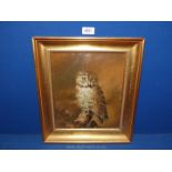 A gilt framed oil on board depicting an owl sat on a tree stump, no visible signature,