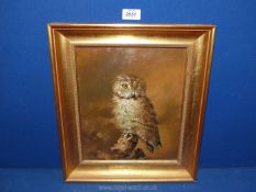 A gilt framed oil on board depicting an owl sat on a tree stump, no visible signature,