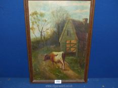 A wooden framed Oil on Windsor canvas depicting Two cattle walking the track back to the barn,