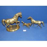 Three brass horses; one on a plinth, one standing and one rearing.