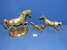 Three brass horses; one on a plinth, one standing and one rearing.