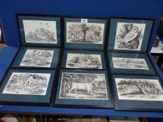 A collection of nine black and white Prints after Thomas Bewick depicting rural scenes including