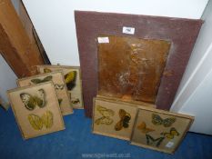 A brass plaque picture and a quantity of butterfly prints.