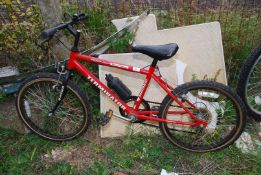 A "Terminator" child's bicycle with derailleur gears.