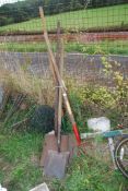 Three long handled shovels and a manure/bedding fork.