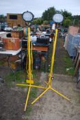 A pair of 240 volt work/building Lamps with defenders in yellow.