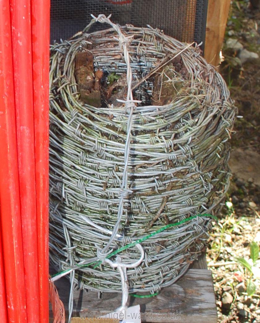 A roll of barbed wire
