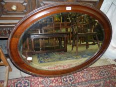 An oval Mahogany framed bevelled Wall hanging Mirror, 28 1/2'' x 38 1/2'' approx.