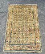 An antique Mahal Wool carpet - West Persia with overall Herati style floral design on camel field.