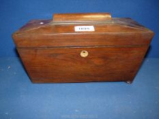 A Victorian sarcophagus tea Caddy in flame Mahogany with internal fittings,