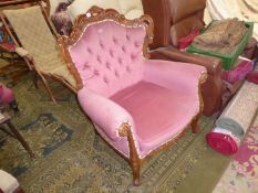 An elegant broad seated darkwood show framed button back Armchair standing on scroll terminating