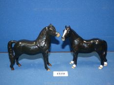 Two black Beswick ponies, one having four white socks, both 5" tall approximately.