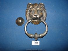 A brass door knocker in the shape of a lion's head.
