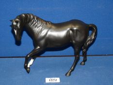 A black matt finish Beswick stallion, with lowered head and one white sock 10" wide x 7" tall.