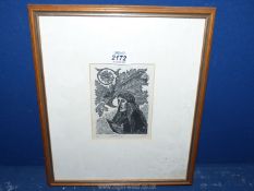 A framed and mounted woodblock engraving (no.