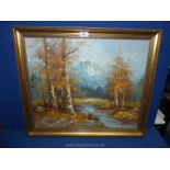 An Oil on canvas of a forest landscape with ornate gilt frame, 23½" x 27½".