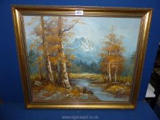 An Oil on canvas of a forest landscape with ornate gilt frame, 23½" x 27½".