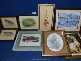 A quantity of prints to include pheasants, partridge, otter, etc.