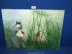 An unframed Oil on canvas depicting a Pair of nesting Grebes.