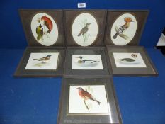 A quantity of bird prints