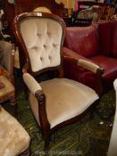 A contemporary darkwood show framed and open armed Armchair having beige dralon upholstered seat