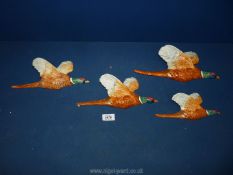 ***Four Beswick graduated flying Pheasants wall plaques.