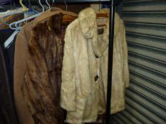 Two ladies fur coats, 'Anglo Canadian Edinburgh Co.