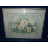 A large framed and mounted Watercolour depicting roses signed lower left Moira Macdonald,