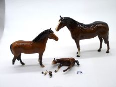 Two Beswick brown horses and Beswick foal, all a/f.