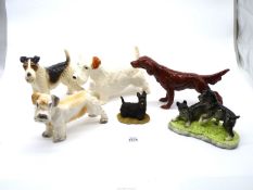 Two Sealyham terriers, Red Setter, Schnauzers, Fox and Scottish terriers.