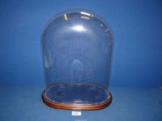 A glass display dome, the base being covered in blue velvet,