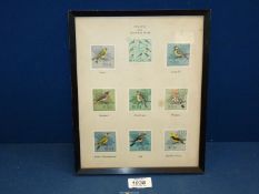 A small framed selection of woodland Bird stamps, dated Poland 1966, 10 1/2" x 8 1/2".