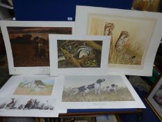 A small quantity of unframed Prints to include Sandro Nardinii -Pointers,