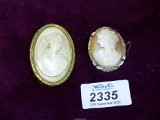 Two Cameo brooches.