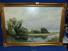 A framed Oil on canvas depicting a River landscape with swans,