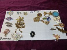 A tray of brooches (approx. 25): banjo, dolphin, bag piper etc.