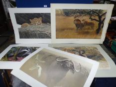 A quantity of wildlife prints including 'Master of The Herd - African Buffalo' limited edition no.