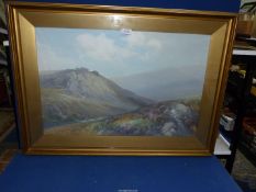 A large framed Watercolour by F. J. Widgery, label verso titled 'Tavy Cleave', 37" x 27".
